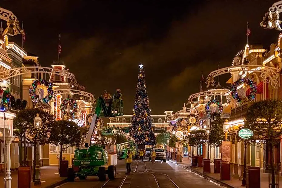 disney christmas lights install